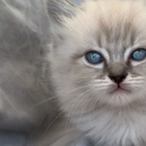 Meet your Posher, Christine